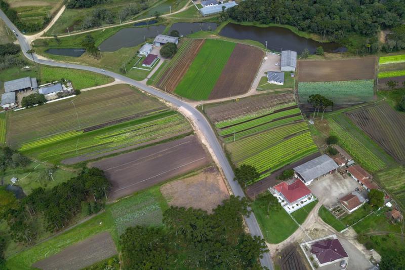 Secretaria da Agricultura publica resultado do edital do programa Coopera ParanÃ¡