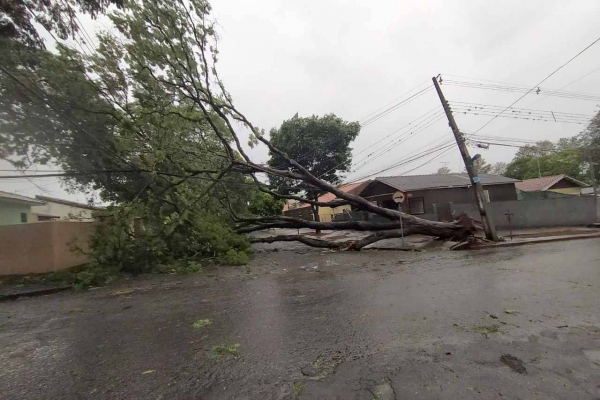 Temporal com ventos deixam milhares sem luz no interior do Paraná