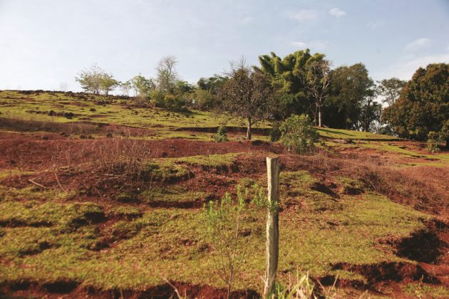 AnÃ¡lise: Manejo incorreto gera perdas no solo e encarece custos de produÃ§Ã£o