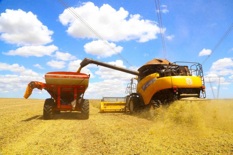 ParanÃ¡ deve produzir 25,37 milhÃµes de toneladas de grÃ£os na safra de verÃ£o