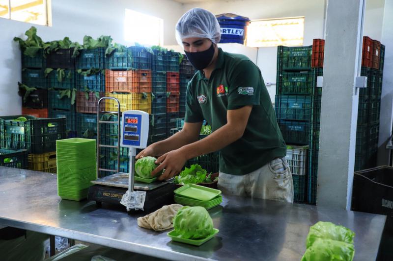 Programa Compra Direta Ã© capÃ­tulo de livro sobre comercializaÃ§Ã£o, agroecologia e inovaÃ§Ã£o