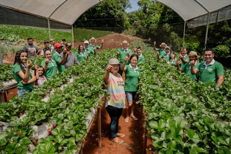 Programa do Sicredi oferece assistÃªncia tÃ©cnica para produtores rurais associados