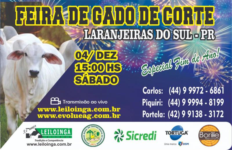 Feira de gado de corte da Sociedade Rural de Laranjeiras do Sul, serÃ¡ neste sÃ¡bado (04/12)