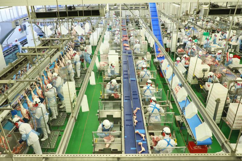 ParanÃ¡ tem recorde no abate de suÃ­nos e mantÃ©m lideranÃ§a na produÃ§Ã£o de carne de frango