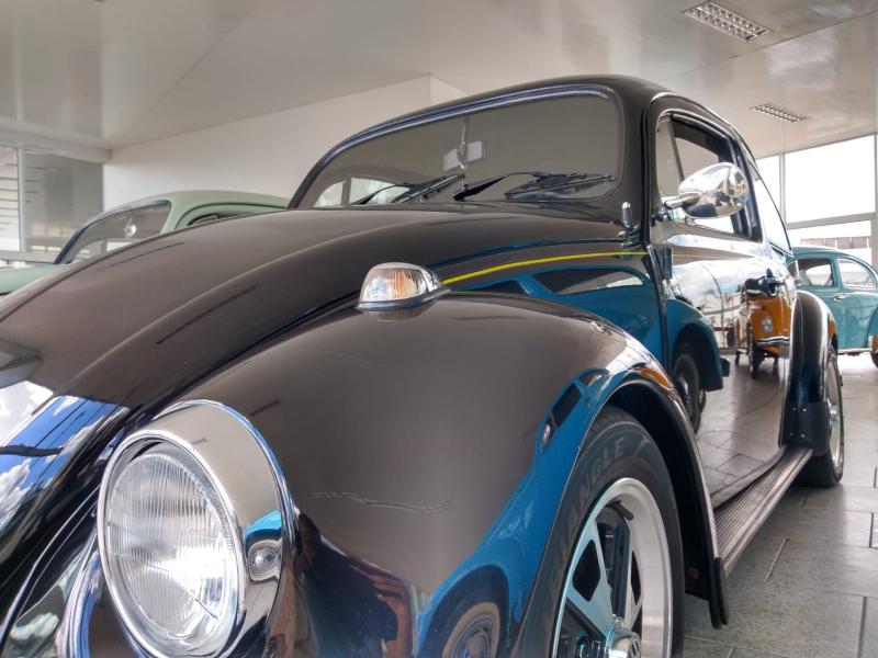 Hoje Ã© o Dia Nacional do Fusca