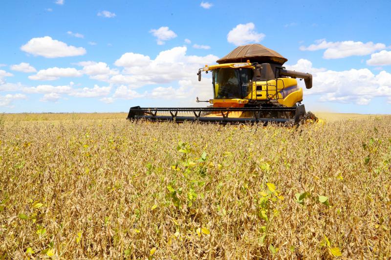 ParanÃ¡ deve produzir 14,74 milhÃµes de toneladas de grÃ£os na safra de verÃ£o