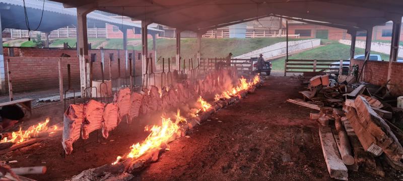 Aproximadamente 900 convites comercializados na Costelada do Trabalhador do Rotary Clube de LS