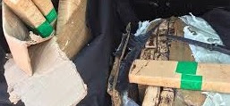 Laranjeiras: Casal Ã© preso com mais de 60kg de maconha na BR 277