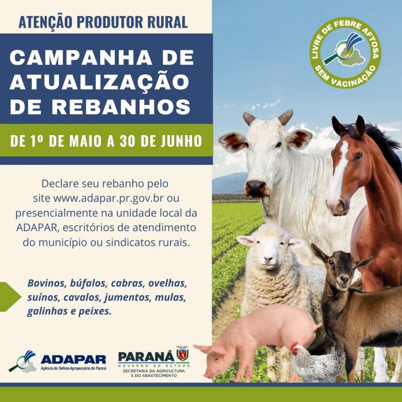ADAPAR alerta produtores sobre obrigatoriedade da atualizaÃ§Ã£o do rebanho 