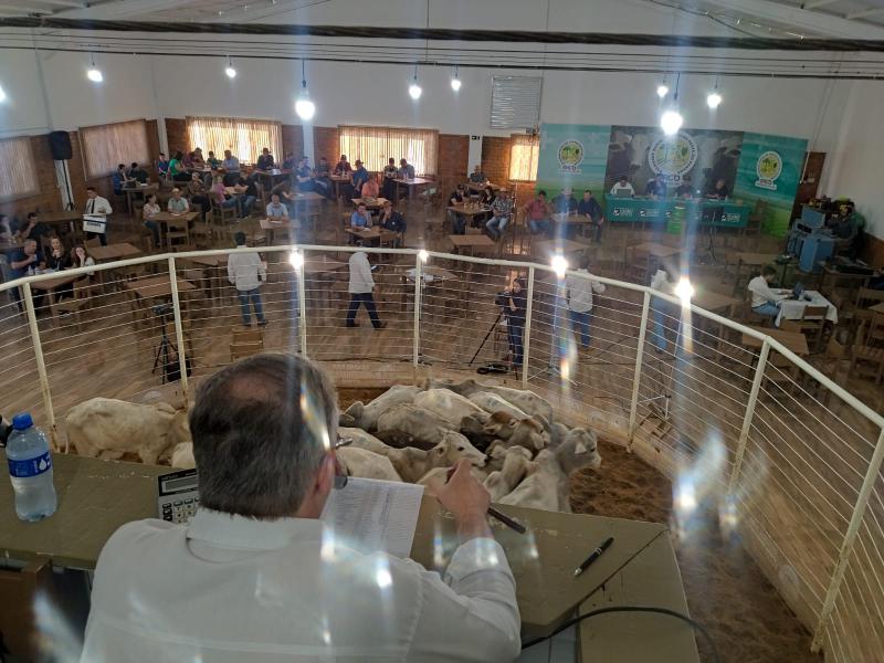  Feira de Gado de Corte da Sociedade Rural de Laranjeiras do Sul, movimenta pecuÃ¡ria regional