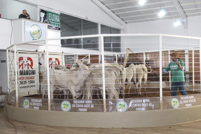 LeilÃ£o de Gado da Sociedade Rural de Laranjeira do Sul comercializou mais de 480 animais de corte 