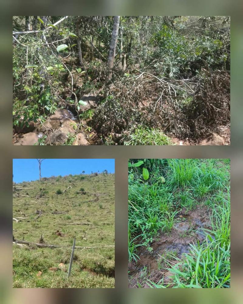 Laranjeiras: Agricultores sÃ£o multados em mais de 400 mil por crime ambiental 