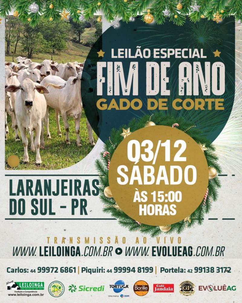  LeilÃ£o especial FIM DE ANO DE GADO DE CORTE da Sociedade Rural de Laranjeiras do Sul serÃ¡ neste sÃ¡bado (03/12)