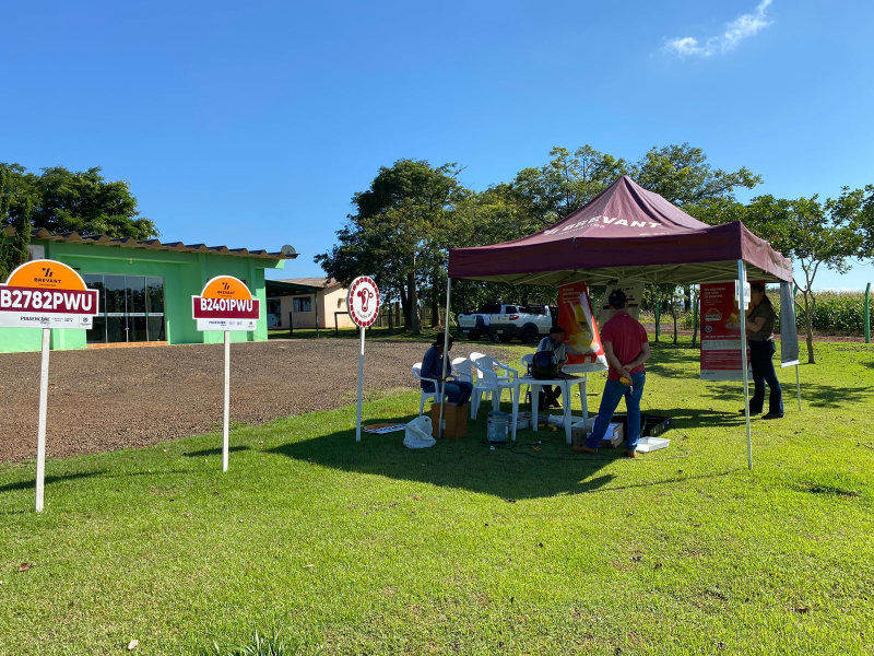 Coprossel e BrevantÂ® Sementes ressaltam importÃ¢ncia da qualidade na silagem de milho 