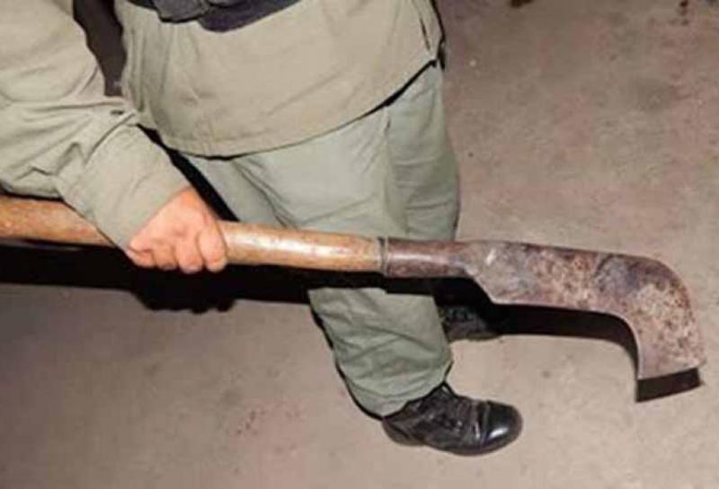 Laranjeiras: Homem ameaÃ§a vizinha com foice no Loteamento Mineiro