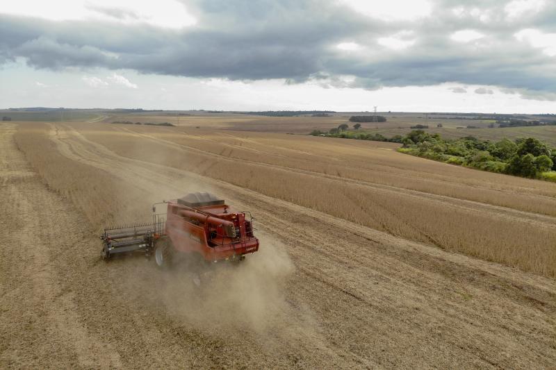 Segundo maior produtor de soja, ParanÃ¡ responde por 14% da safra brasileira