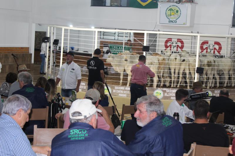 Feira de Bezerros e Bezerras da Sociedade Rural de Laranjeiras do Sul serÃ¡ neste sÃ¡bado (04/03)