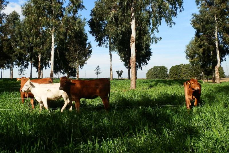 IDR-ParanÃ¡ avalia potencial de expansÃ£o da agricultura sustentÃ¡vel no Estado