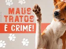 Laranjeiras: Mulher mata cachorro com golpe de machado no BancÃ¡rio