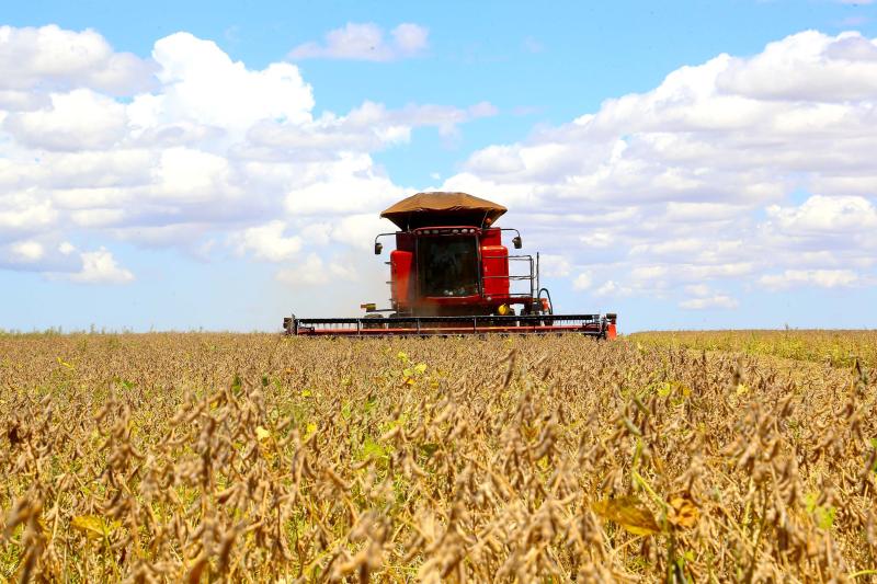 ParanÃ¡ pode colher 20,8 milhÃµes de toneladas de soja, maior volume da histÃ³ria