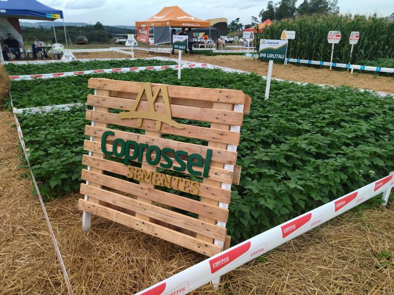 DIA DE CAMPO COPROSSEL: 23 e 24 de marÃ§o em Laranjeiras do Sul -PR