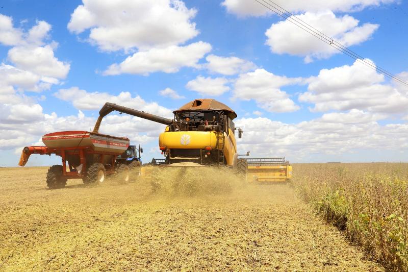 Colheita da soja evolui de 17% para 30% na Ãºltima semana no ParanÃ¡