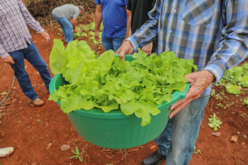 Secretaria de agricultura e ParÃ³quia SantÂ´Ana viabilizam horta comunitÃ¡ria na Capela SÃ£o Francisco
