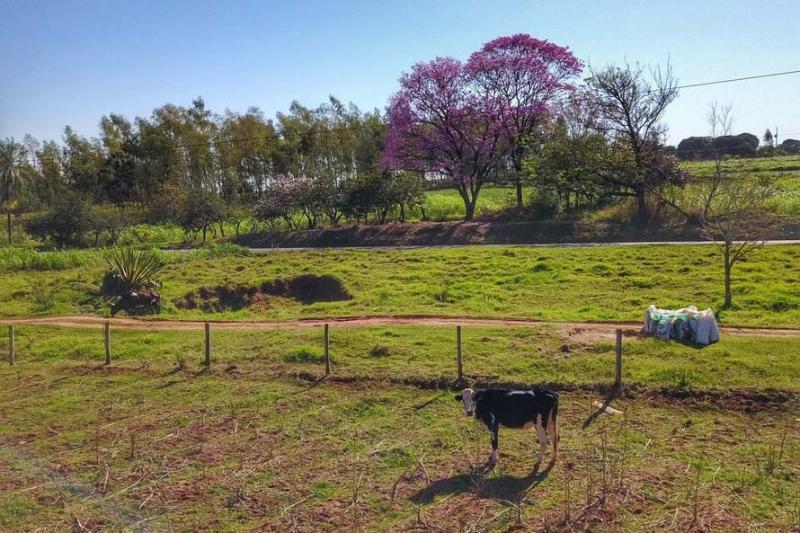 IAT cria guia para ajudar proprietÃ¡rios a adequarem Ã¡reas de reserva legal