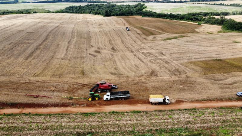 Produtividade da soja e milho confirmam safra recorde na Cantu -  preÃ§os preocupam produtores 