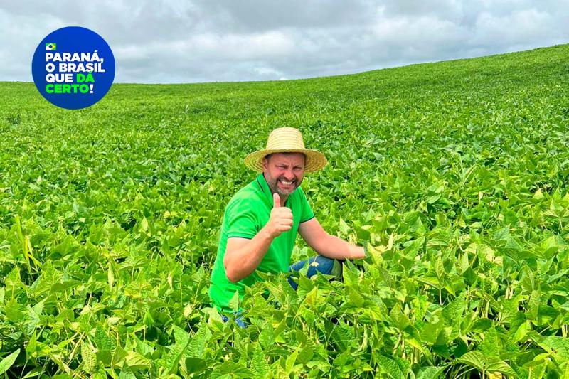 ParanÃ¡ se destaca no melhoramento genÃ©tico do feijÃ£o e garante maior produtividade
