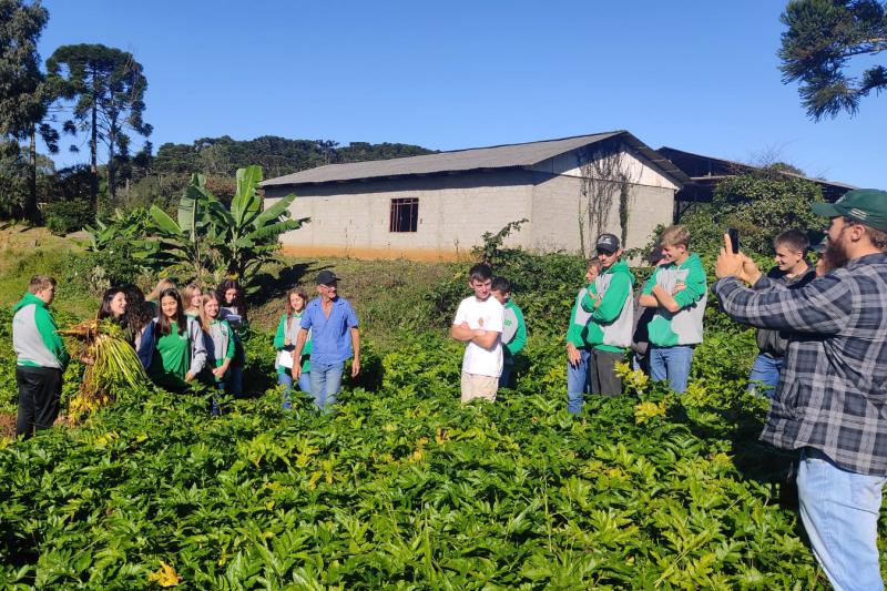Com bom retorno financeiro, ParanÃ¡ investe em olericultura e fruticultura para fidelizar jovens