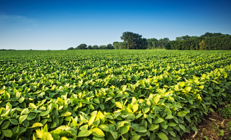 Valor Bruto da ProduÃ§Ã£o AgropecuÃ¡ria de 2023 Ã© estimado em R$ 1,216 trilhÃ£o