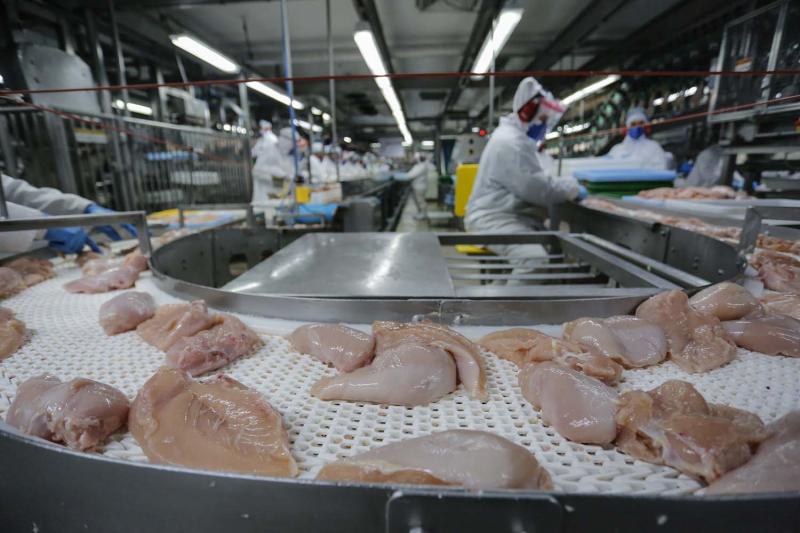 ParanÃ¡ atinge 2 milhÃµes de toneladas de proteÃ­nas exportadas pela primeira vez na histÃ³ria