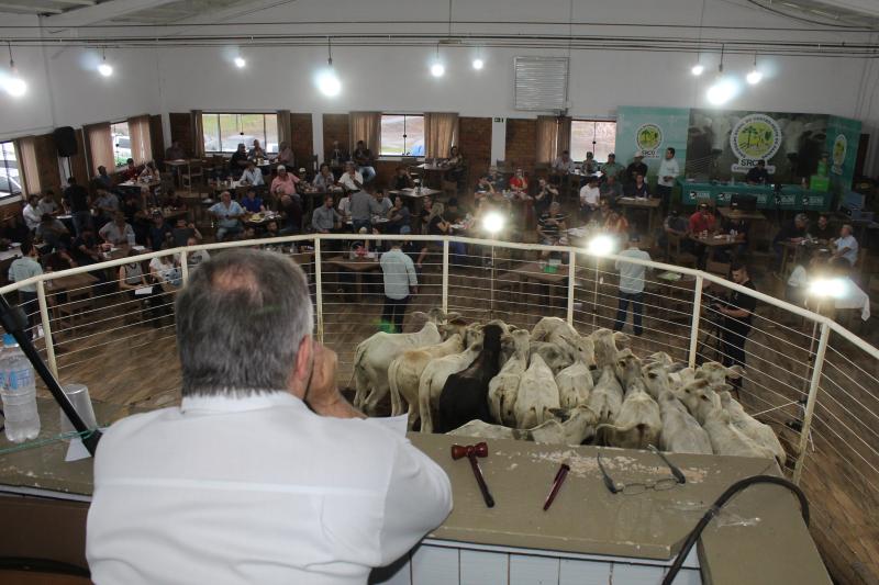 Feira de Gado de Corte da Sociedade Rural serÃ¡ neste sÃ¡bado (03/06)