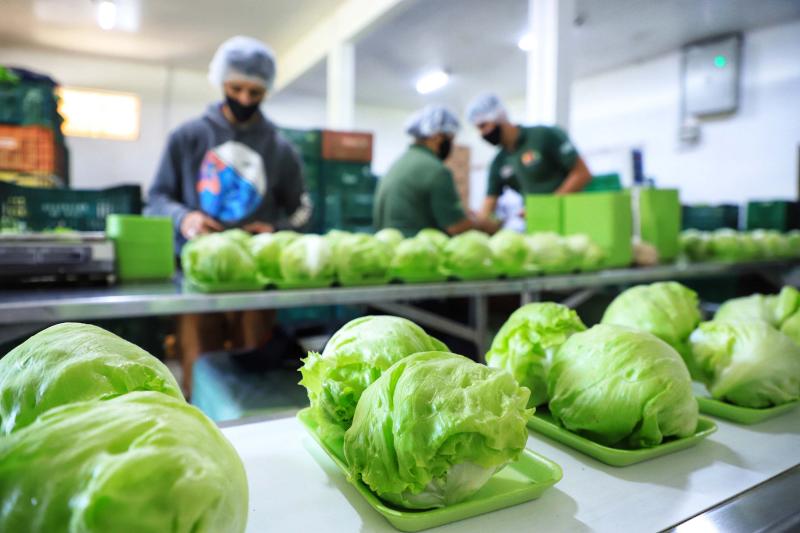 Governo libera R$ 7,9 milhÃµes para fortalecer produÃ§Ã£o orgÃ¢nica no ParanÃ¡