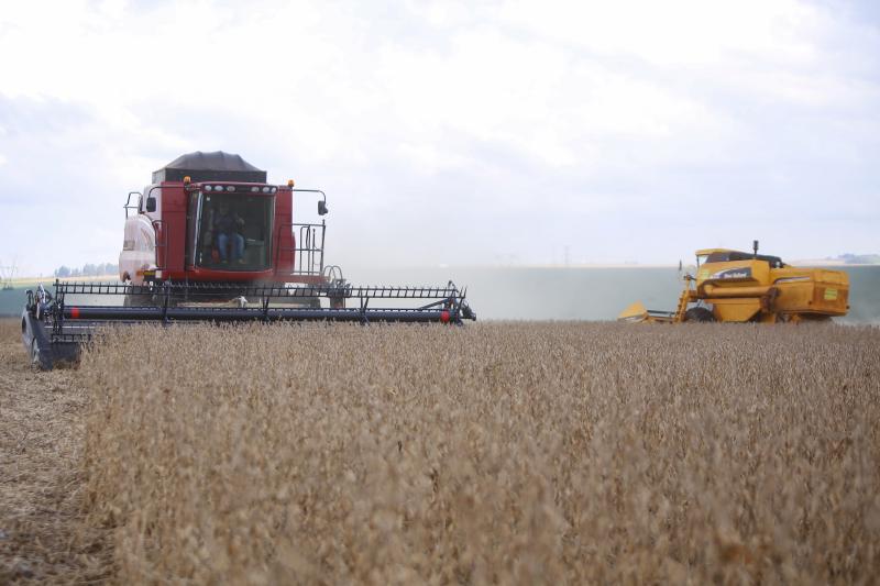 Valor Bruto da ProduÃ§Ã£o AgropecuÃ¡ria do ParanÃ¡ cresce 6% em 2022 e alcanÃ§a R$ 191 bilhÃµes