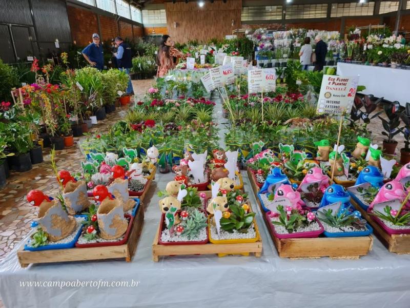 LS: Rotary Vende Mudas acontece atÃ© sÃ¡bado no pavilhÃ£o da Matriz Santâ€™Ana