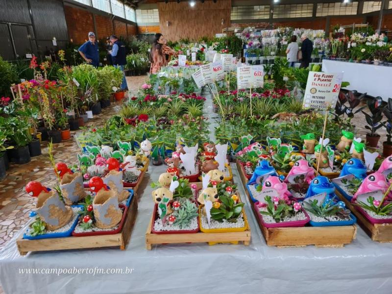 LS: Rotary Vende Mudas acontece até sábado no pavilhão da Matriz Sant’Ana