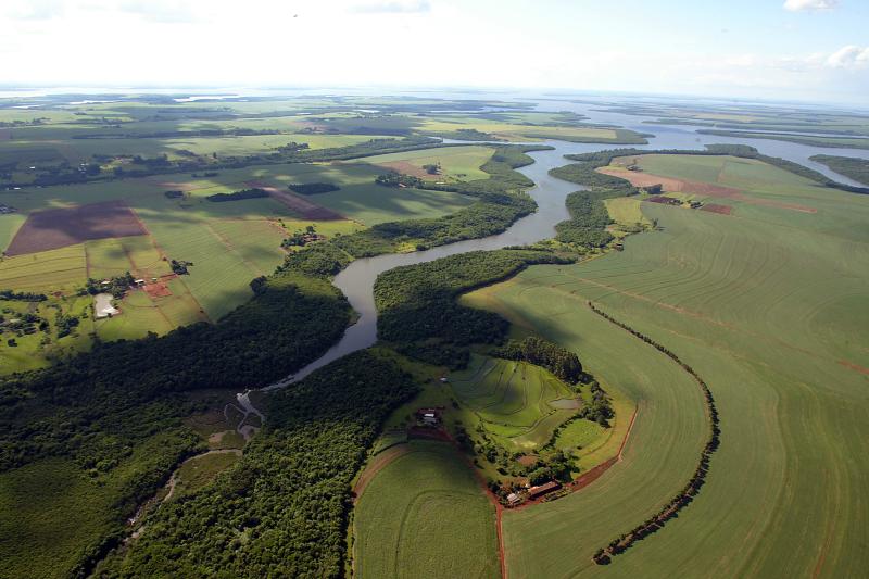 Com amplo reflorestamento, Rio IguaÃ§u tem maior volume de Ã¡gua em 12 anos