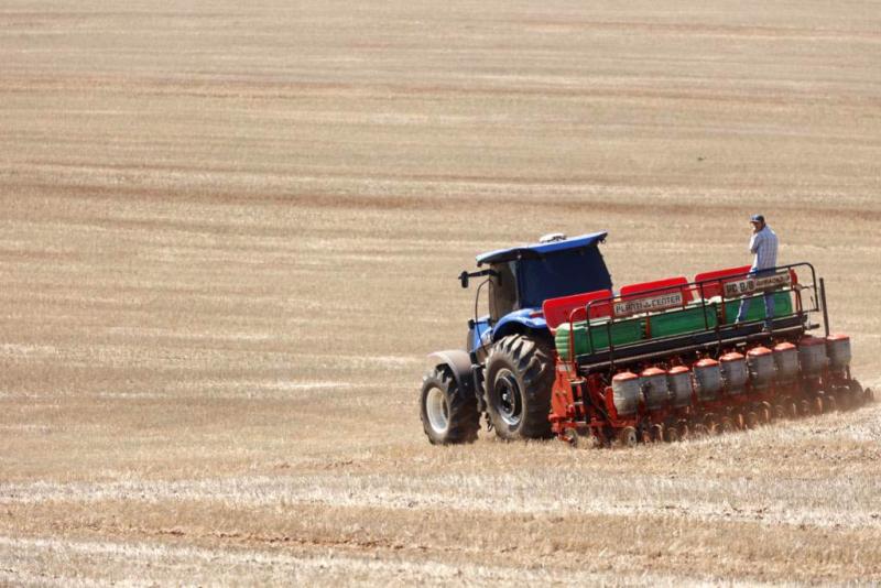 ApÃ³s vazio sanitÃ¡rio, plantio de soja jÃ¡ comeÃ§ou no ParanÃ¡; colheita do milho estÃ¡ no fim