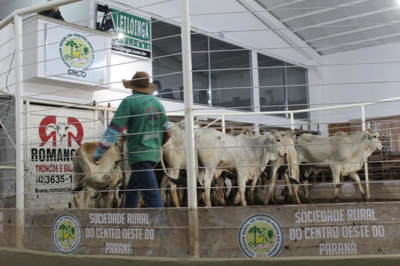 Hoje (07/10)  tem LeilÃ£o de Gado de Corte da Sociedade Rural de Laranjeiras do Sul 