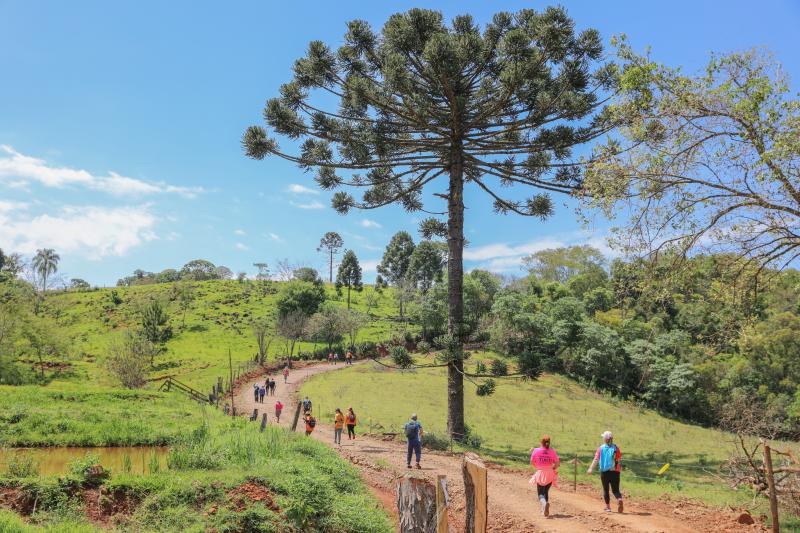  Caminhada na Natureza estÃ¡ com inscriÃ§Ãµes abertas