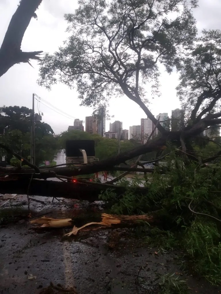 Mais de 66 mil unidades continuam sem energia no PR