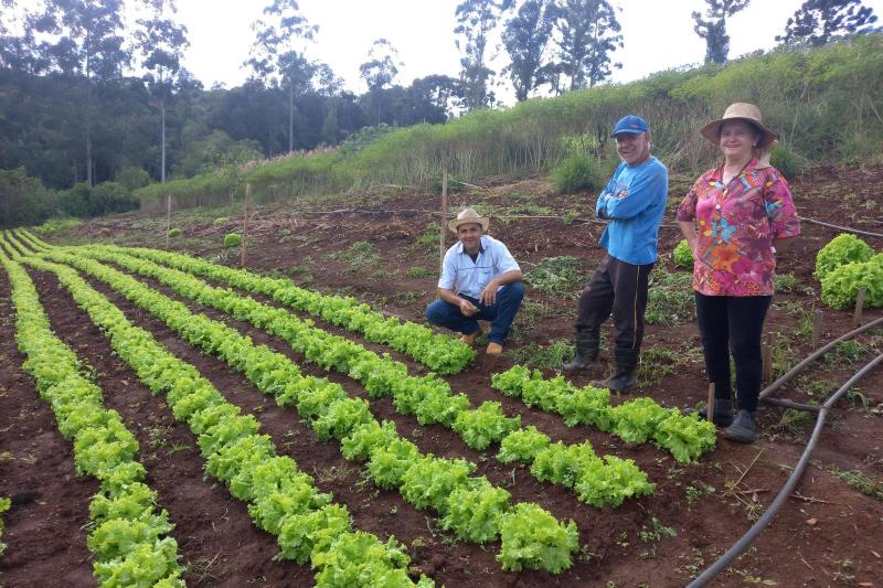 Trabalho de 700 extensionistas impulsiona pesquisa e produÃ§Ã£o agropecuÃ¡ria no ParanÃ¡