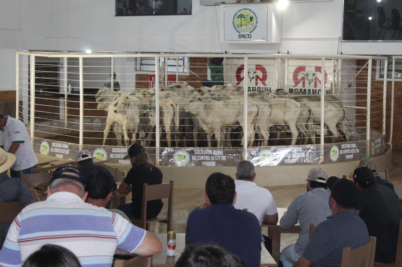 Leilão da Sociedade Rural de Laranjeira do Sul se destaca em todo o Paraná