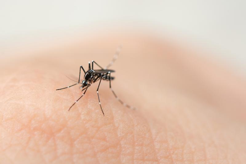 LS: MudanÃ§as Constantes de Temperatura ReforÃ§am Alerta da Secretaria de SaÃºde sobre a Dengue