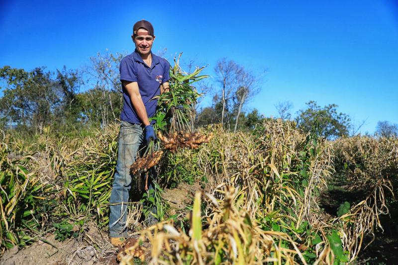 Governo seleciona 34 profissionais em programa de residÃªncia em economia rural