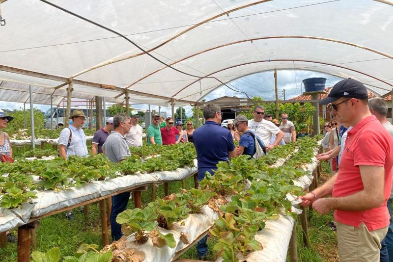 Turismo rural tÃ©cnico-cientÃ­fico do ParanÃ¡ atrai grupo de 26 produtores franceses