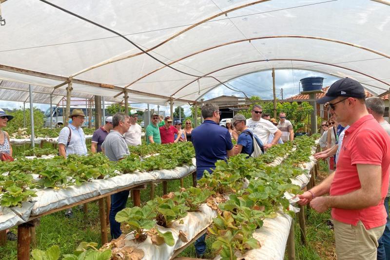 Turismo rural técnico-científico do Paraná atrai grupo de 26 produtores franceses