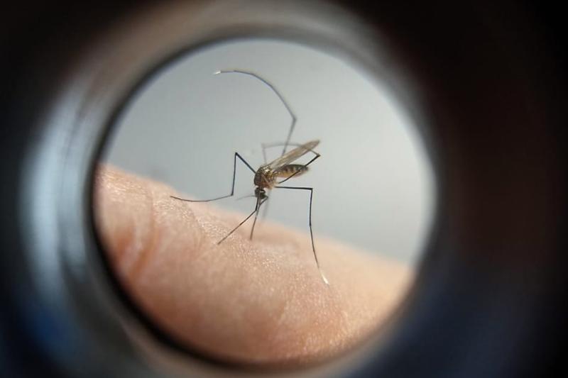 ParanÃ¡ manda ofÃ­cio ao MinistÃ©rio da SaÃºde solicitando mais vacinas contra a dengue